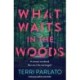 What Waits in The Woods: A fast-paced, addictive crime thriller