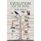 Evolution for the People: Shaping Popular Ideas from Darwin to the Present