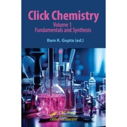 Click Chemistry: Volume 1: Fundamentals and Synthesis