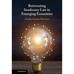 Reinventing Insolvency Law in Emerging Economies