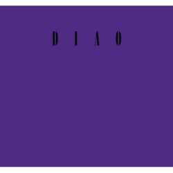 David Diao: On Barnett Newman: 1991–2023