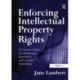 Enforcing Intellectual Property Rights: A Concise Guide for Businesses, Innovative and Creative Individuals