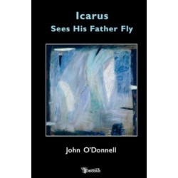 Icarus see his Father Fly