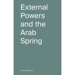 External powers and the Arab Spring