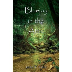 Bluejay in the Attic