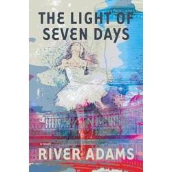 The Light of Seven Days a novel