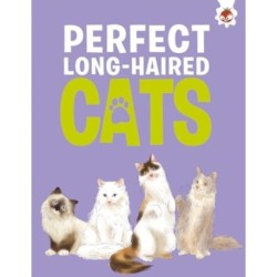 Perfect Long-Haired Cats