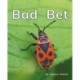 Bad Bet: Phonics Phase 2