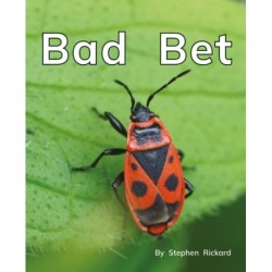 Bad Bet: Phonics Phase 2