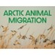 Arctic Animal Migration: English Edition