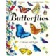 Butterflies: Colour in Flight