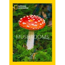 Mushrooms: 50 Postcards