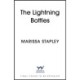 The Lightning Bottles: An absolutely gripping and heartbreaking page-turner