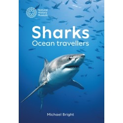 Sharks: Ocean Travellers