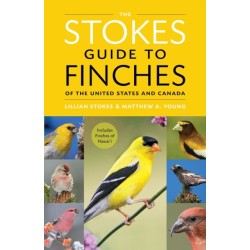 The Stokes Guide to Finches of the United States and Canada