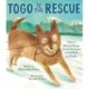 Togo to the Rescue: How a Heroic Husky Saved the Lives of Children in Alaska