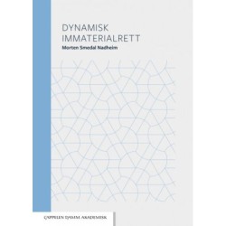 Dynamisk immatrialrett