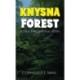 Knysna Forest: A True Epic Survival Story