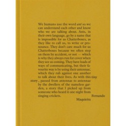 Fernando Maquieira: A Tiny Story