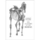 The Anatomy of the Horse