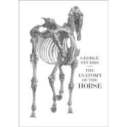 The Anatomy of the Horse