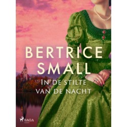 In de stilte van de nacht