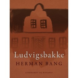 Ludvigsbakke