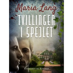 Tvillingen i spejlet