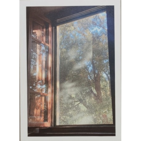 In Constant Hilarity