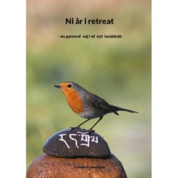 Ni år i retreat: - en gammel vej i et nyt landskab