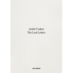 The Last Letters (Letters About a Work): Letters about a Work