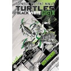 Teenage Mutant Ninja Turtles: Black, White, and Green