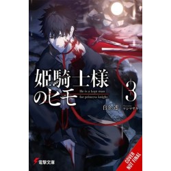 The Kept Man of the Princess Knight, Vol. 3