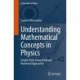 Understanding Mathematical Concepts in Physics: Insights from Geometrical and Numerical Approaches