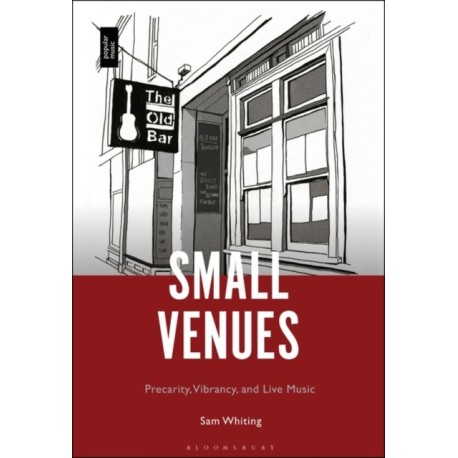Small Venues: Precarity, Vibrancy and Live Music