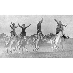 Twisting in Air: The Sensational Rise of a Hollywood Falling Horse