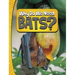 Why Do We Need Bats?