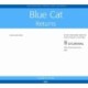 Blue Cat Returns - engelsk for femte: Story Book - cd