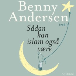 Sådan kan islam også være: Essays