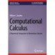 Computational Calculus: A Numerical Companion to Elementary Calculus