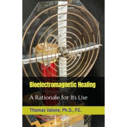 Bioelectromagnetic Healing: A Rationale for Its Use