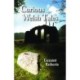 Curious Welsh Tales