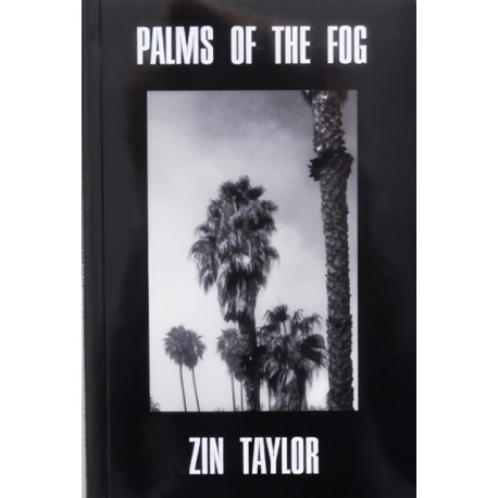 Palms of the Fog