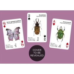 Brilliant Bugs: Playing Cards