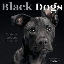 Black Dogs: Stories of Love and Friendship