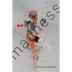 Madness: A Philosophical Exploration