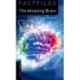 Oxford Bookworms Library Factfiles: Level 5: The Amazing Brain: Graded readers for secondary and adult learners