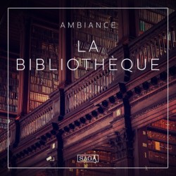 Ambiance - La Bibliothèque