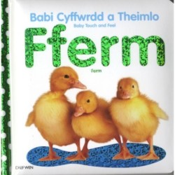 Babi Cyffwrdd a Theimlo/Baby Touch and Feel: Fferm/Farm: Farm