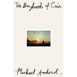 The Boyhood of Cain: 'A new literary star is born . . . dazzling.' The Times